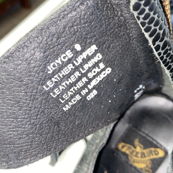 Freebird By Steven Shoes Freebird Joyce - Picture 6 of 7